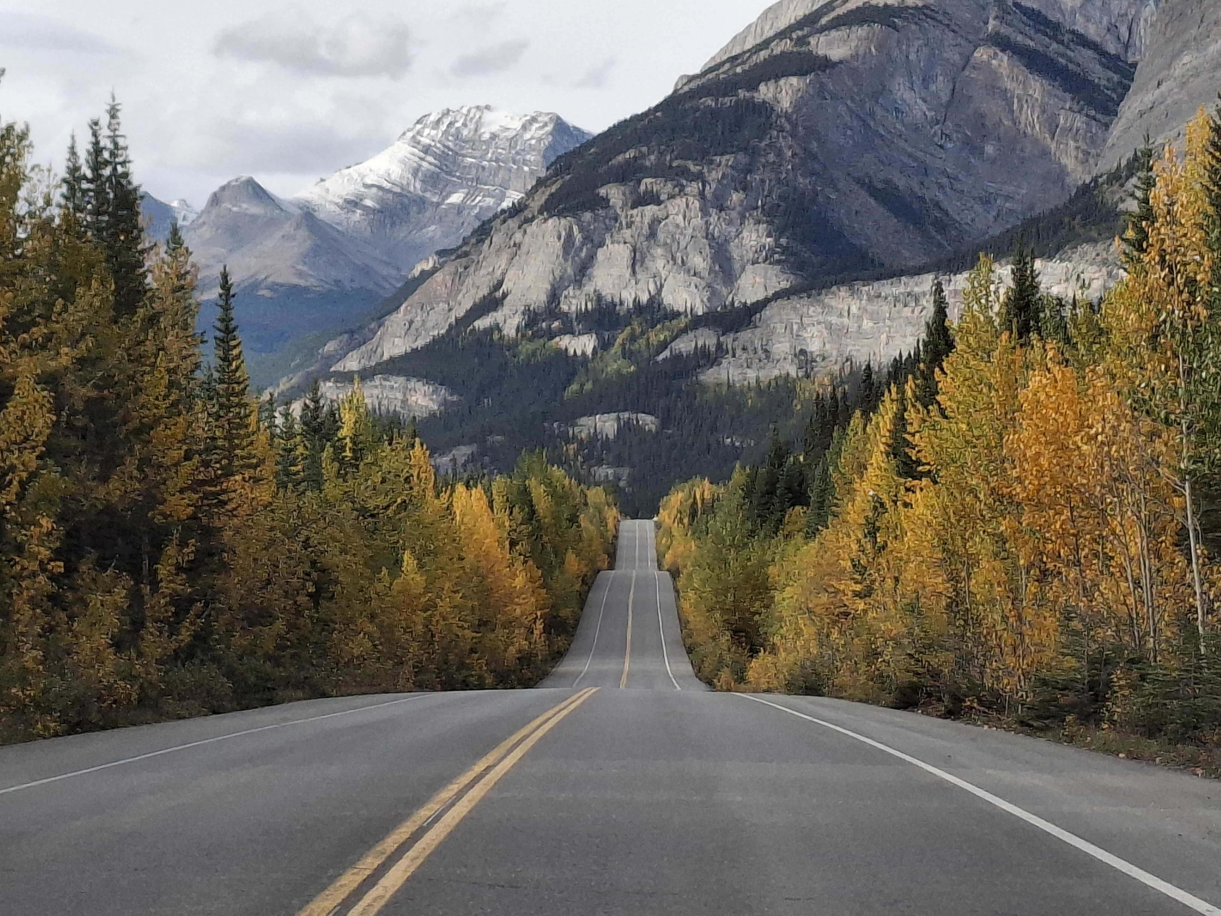 Road trip dans les Rocheuses Canadiennes