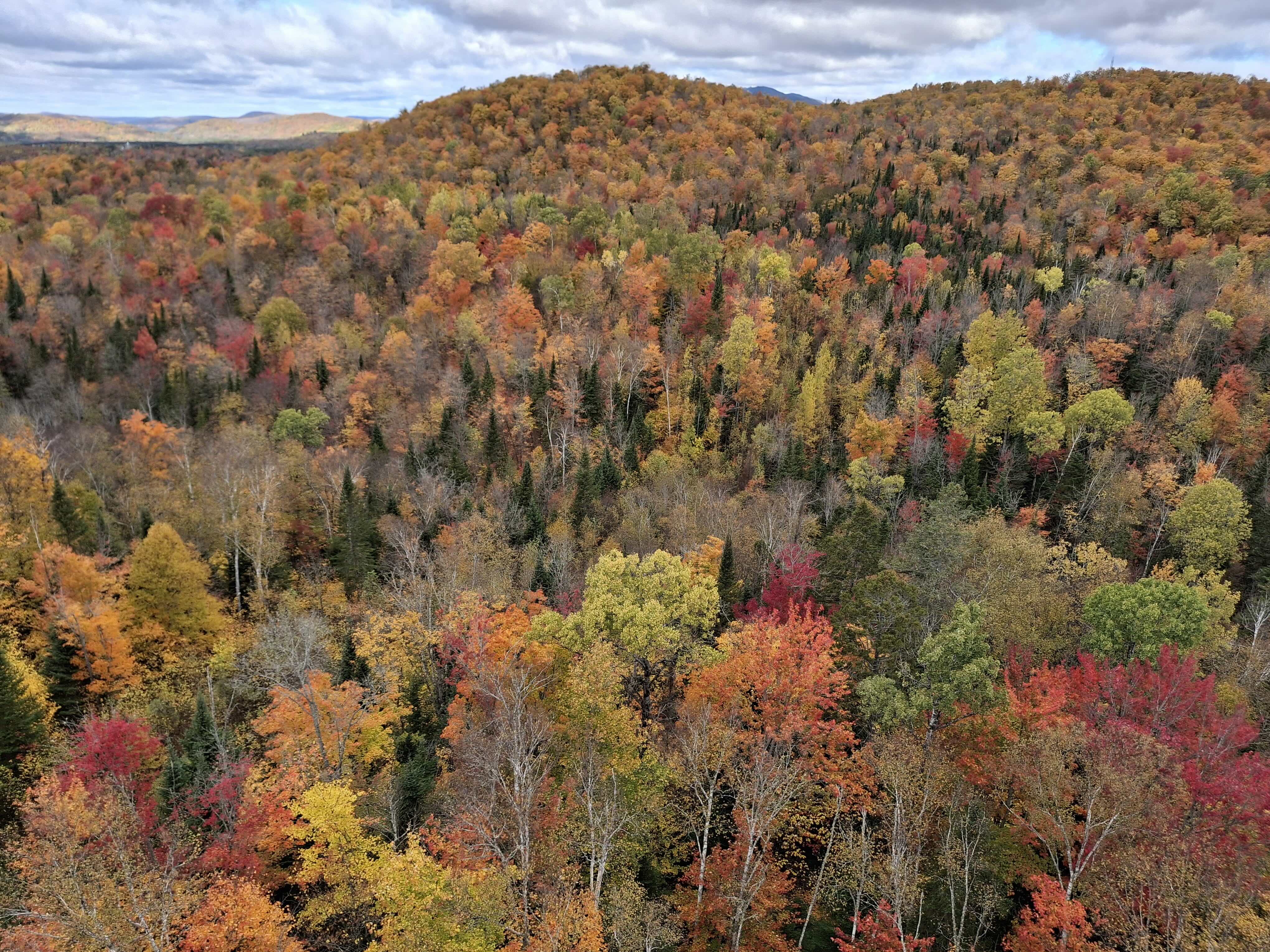 Visiter le Québec en Automne