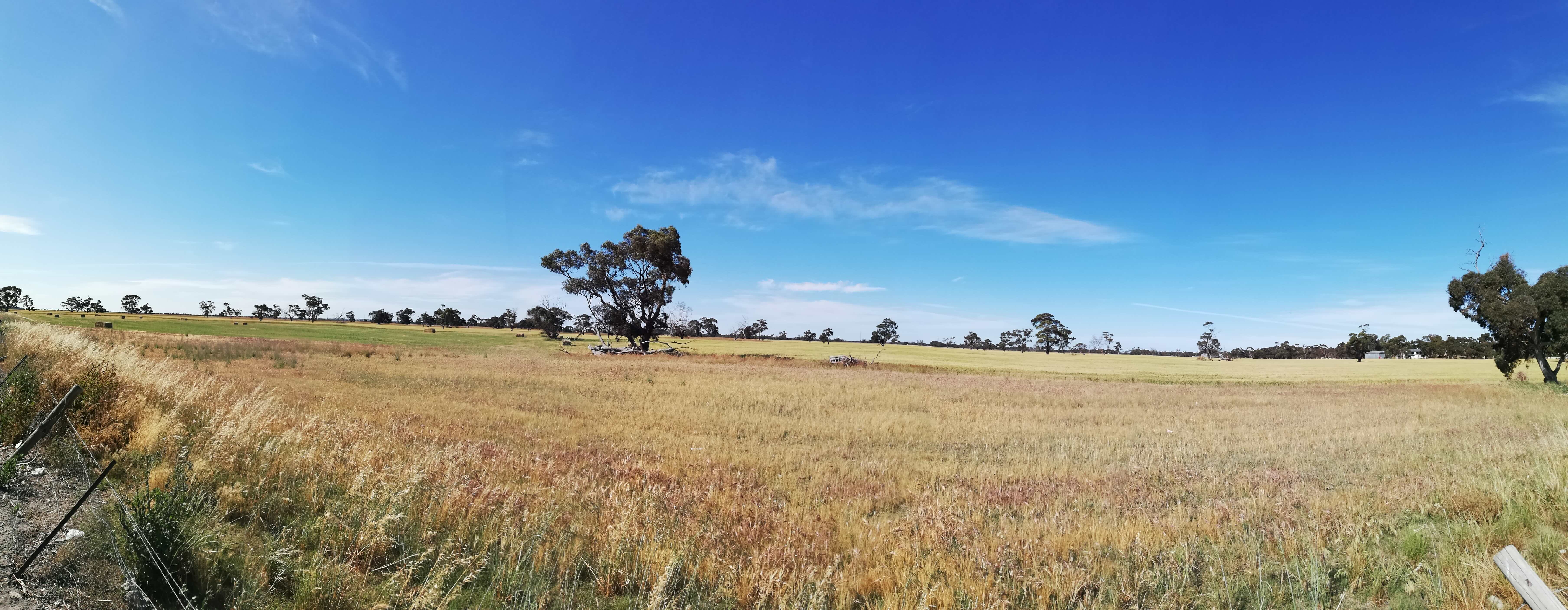 La route entre Adélaïde et Melbourne – Itinéraire d’une semaine